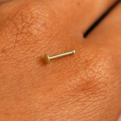 Circle Nose Stud