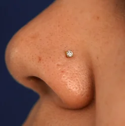 Diamond Nose Stud