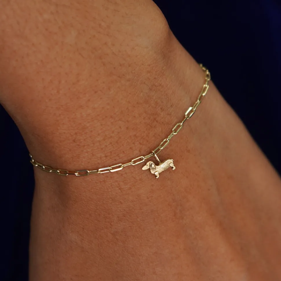 Dog Charm
