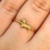 Dog Ring