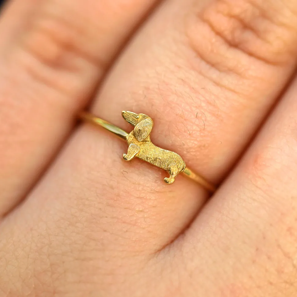 Dog Ring