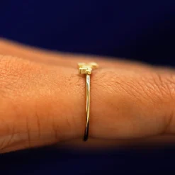 Dog Ring
