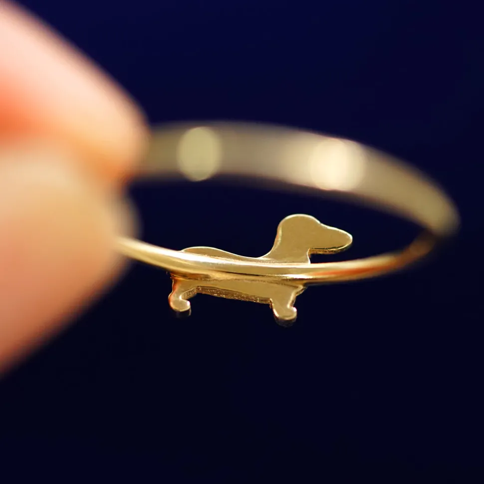 Dog Ring