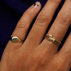 Dog Ring
