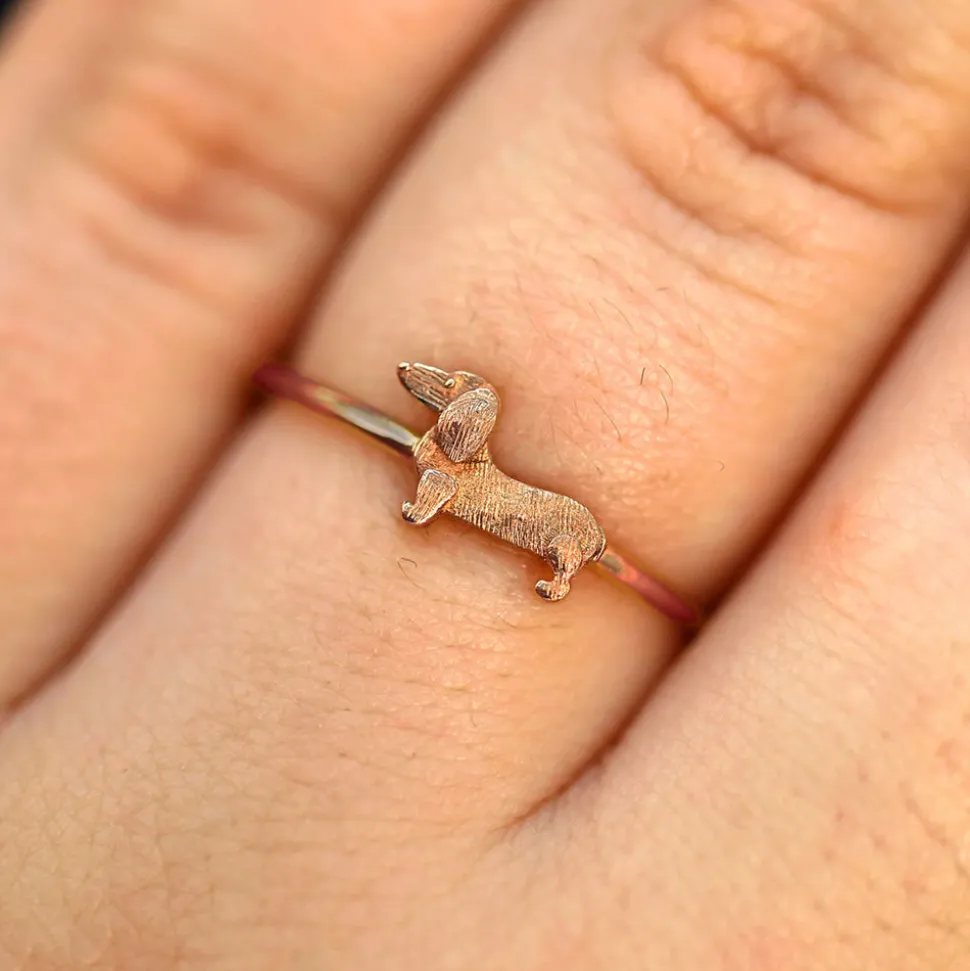 Dog Ring