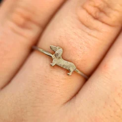 Dog Ring