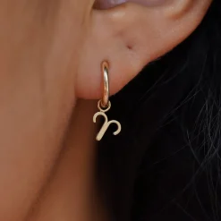 Horoscope Charm