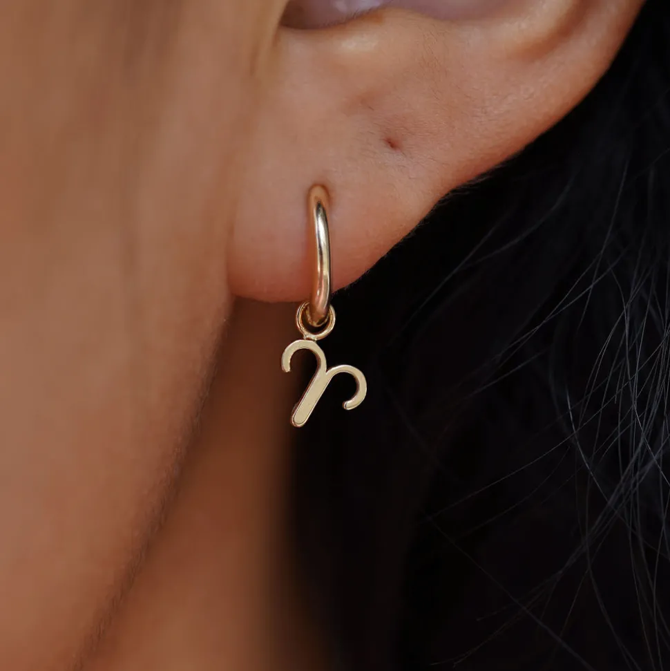 Horoscope Charm