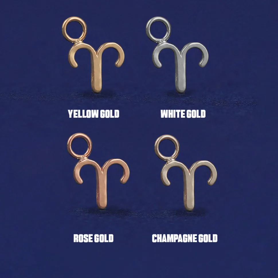 Horoscope Charm