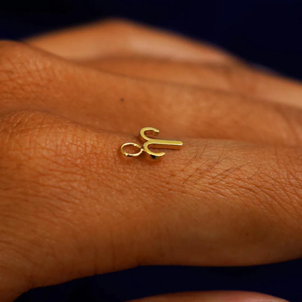 Horoscope Charm