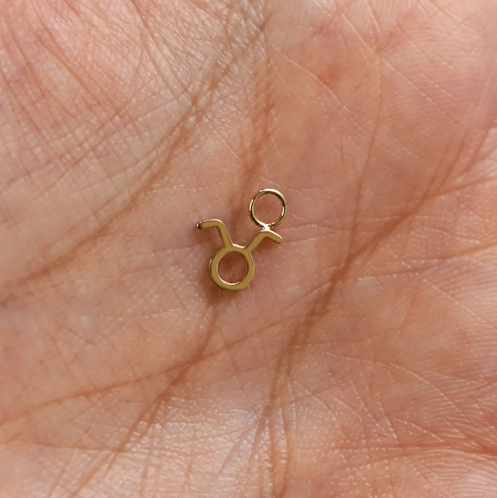 Horoscope Charm