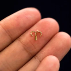 Horoscope Earring