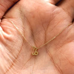 Horoscope Necklace