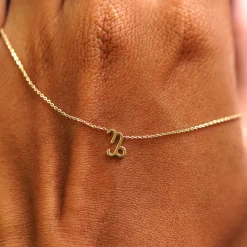 Horoscope Necklace