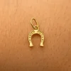 Horseshoe Charm