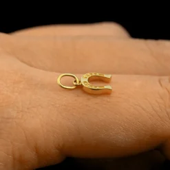 Horseshoe Charm