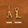 Initial Charm