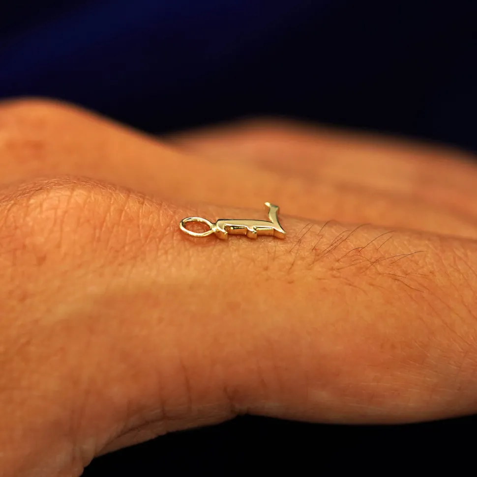 Initial Charm