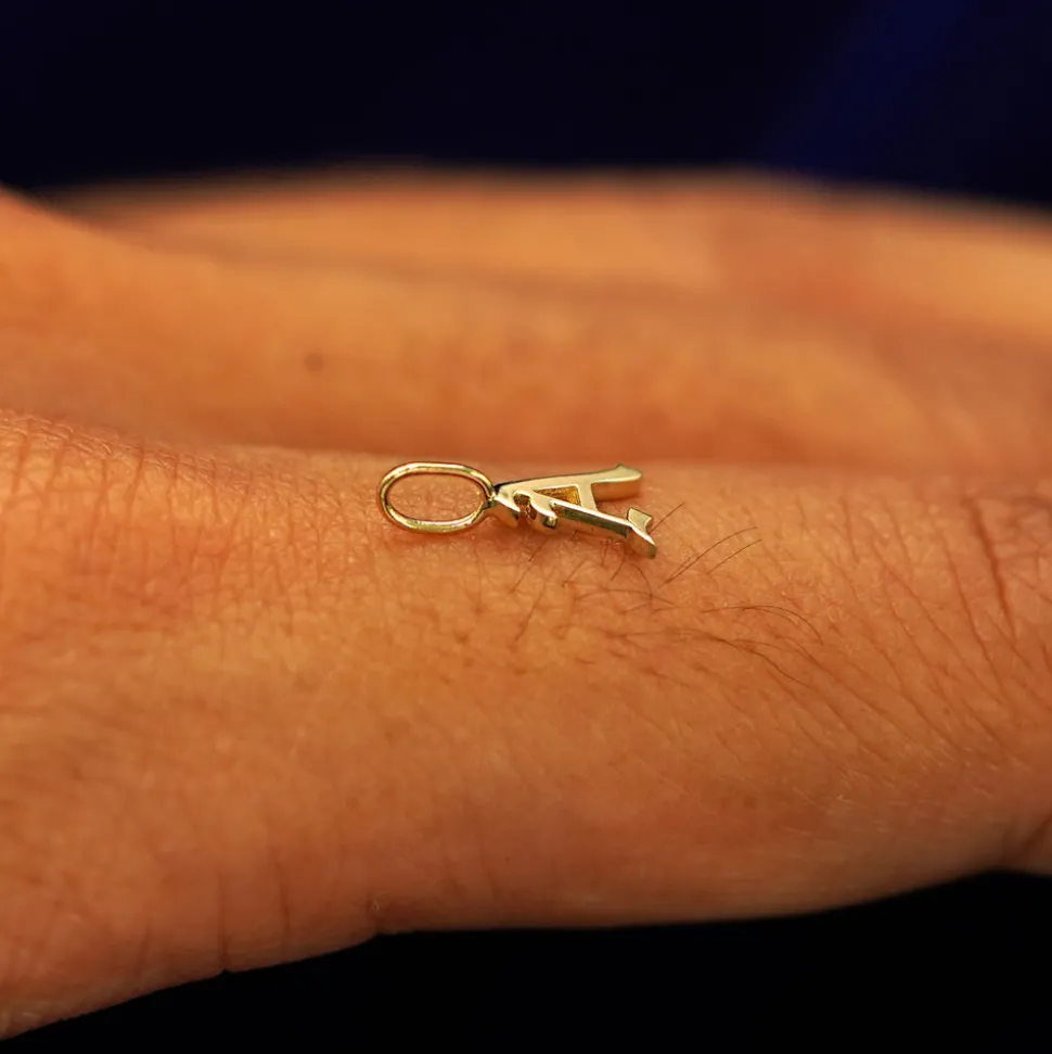 Initial Charm