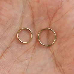 Line Septum