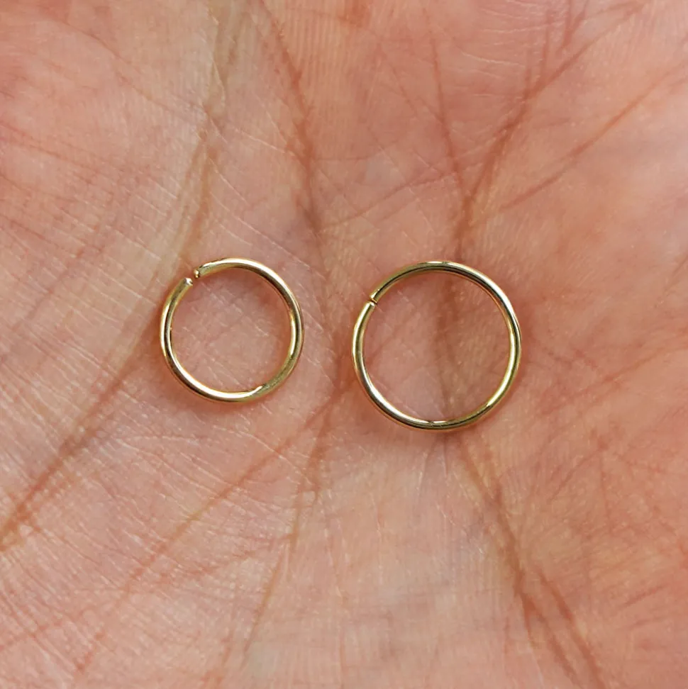 Line Septum