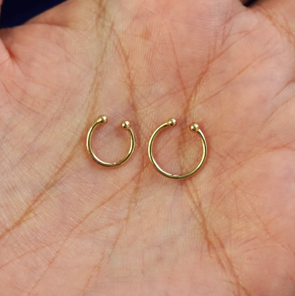 Line Septum