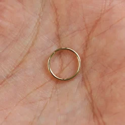 Line Septum