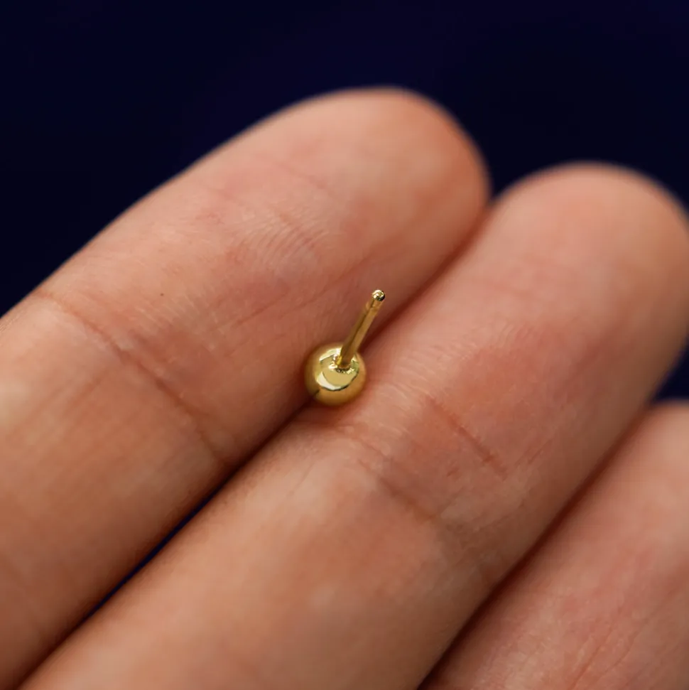 Medium Ball Earring