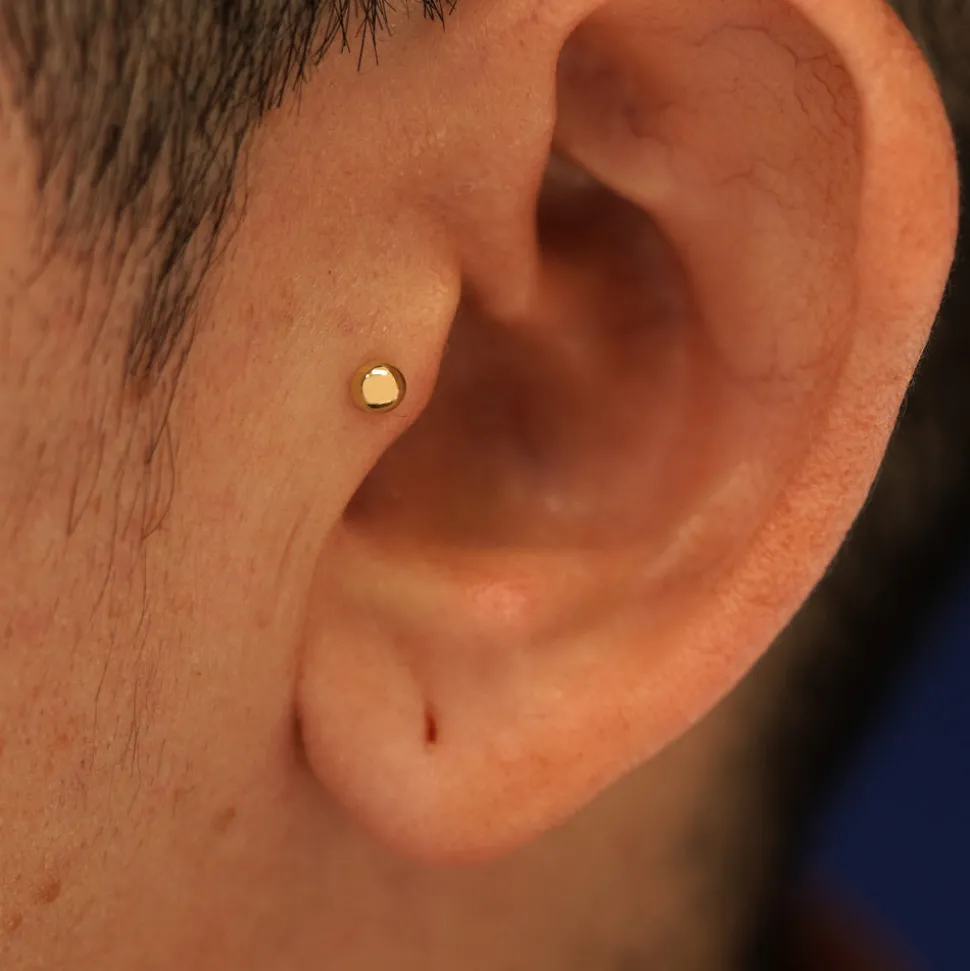 Medium Ball Flatback Piercing