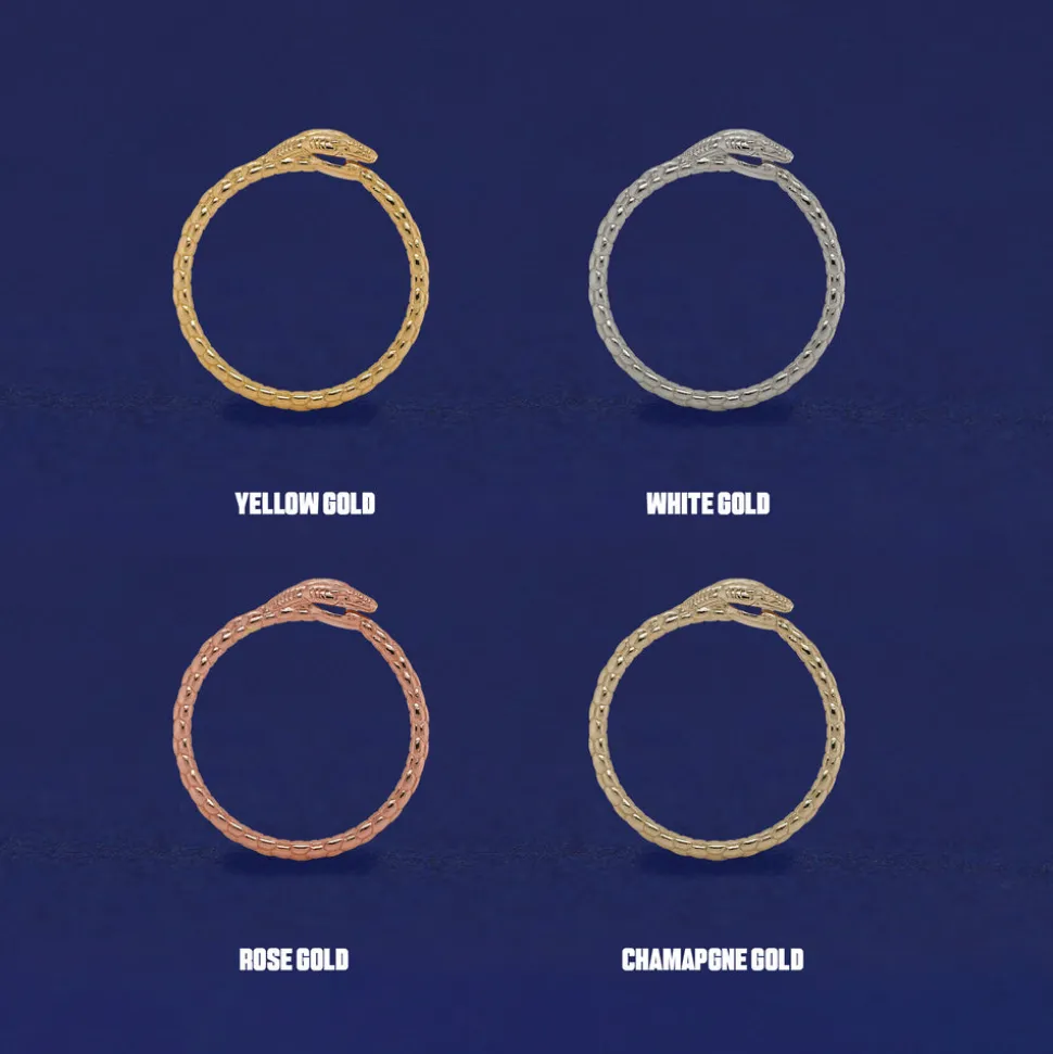 Ouroboros Snake Ring
