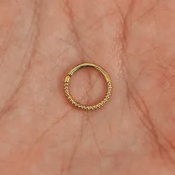 Rope Septum