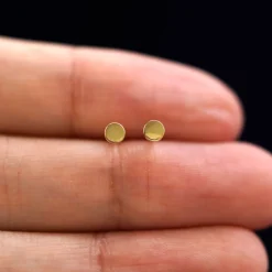 Small Circle Earring