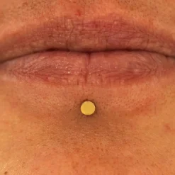 Small Circle Flatback Piercing