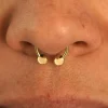 Small Horseshoe Piercing