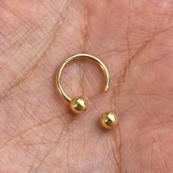 Small Horseshoe Piercing