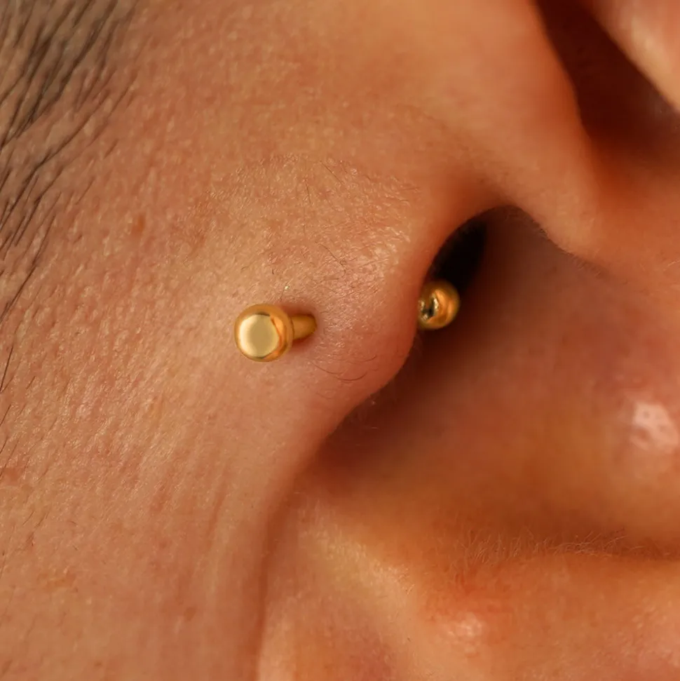 Small Straight Barbell Piercing