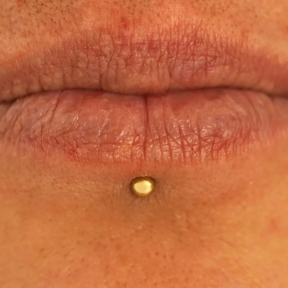 Small Straight Barbell Piercing