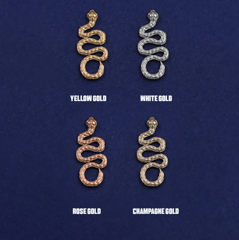 Snake Charm