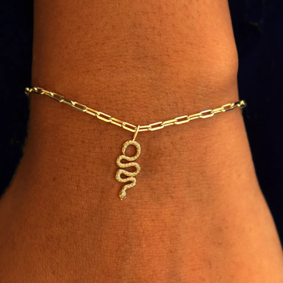 Snake Charm