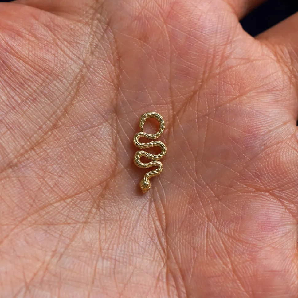 Snake Charm