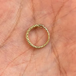 Snake Hoop / Piercing