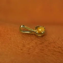 Tiger Eye Charm