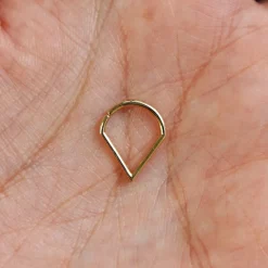 Triangle Septum