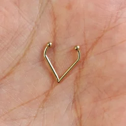 Triangle Septum