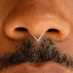 Triangle Septum