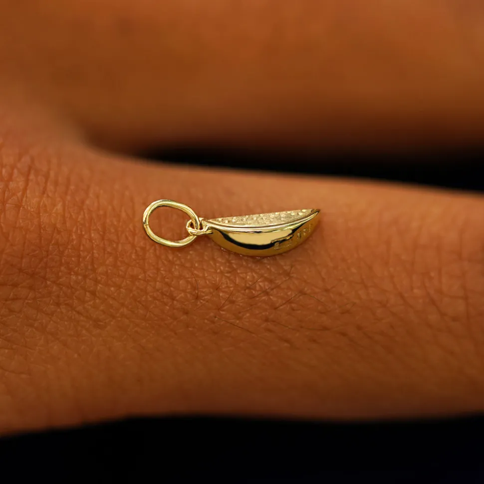 Watermelon Charm